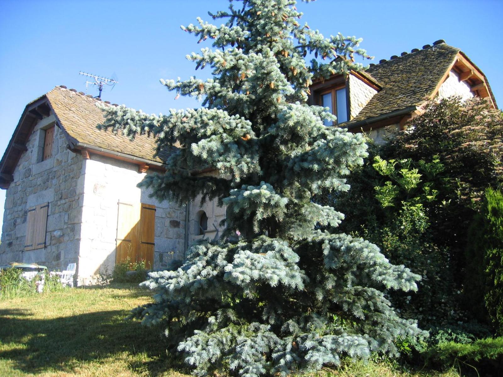 Apartamento Lozere Aubrac Margeride Promo Saint-Alban-sur-Limagnole Exterior foto